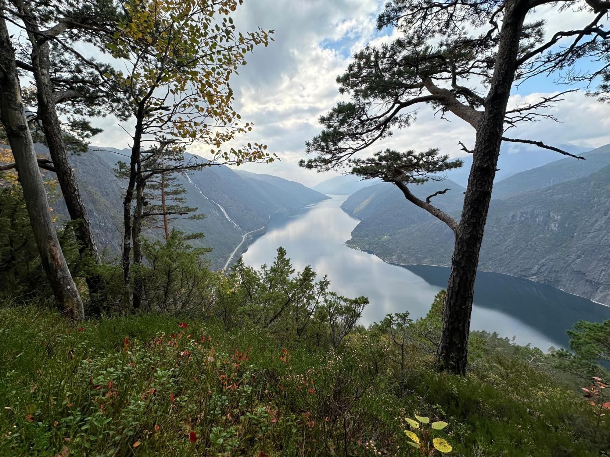 Akrafjorden Nature B&B As Fjæra Eksteriør billede