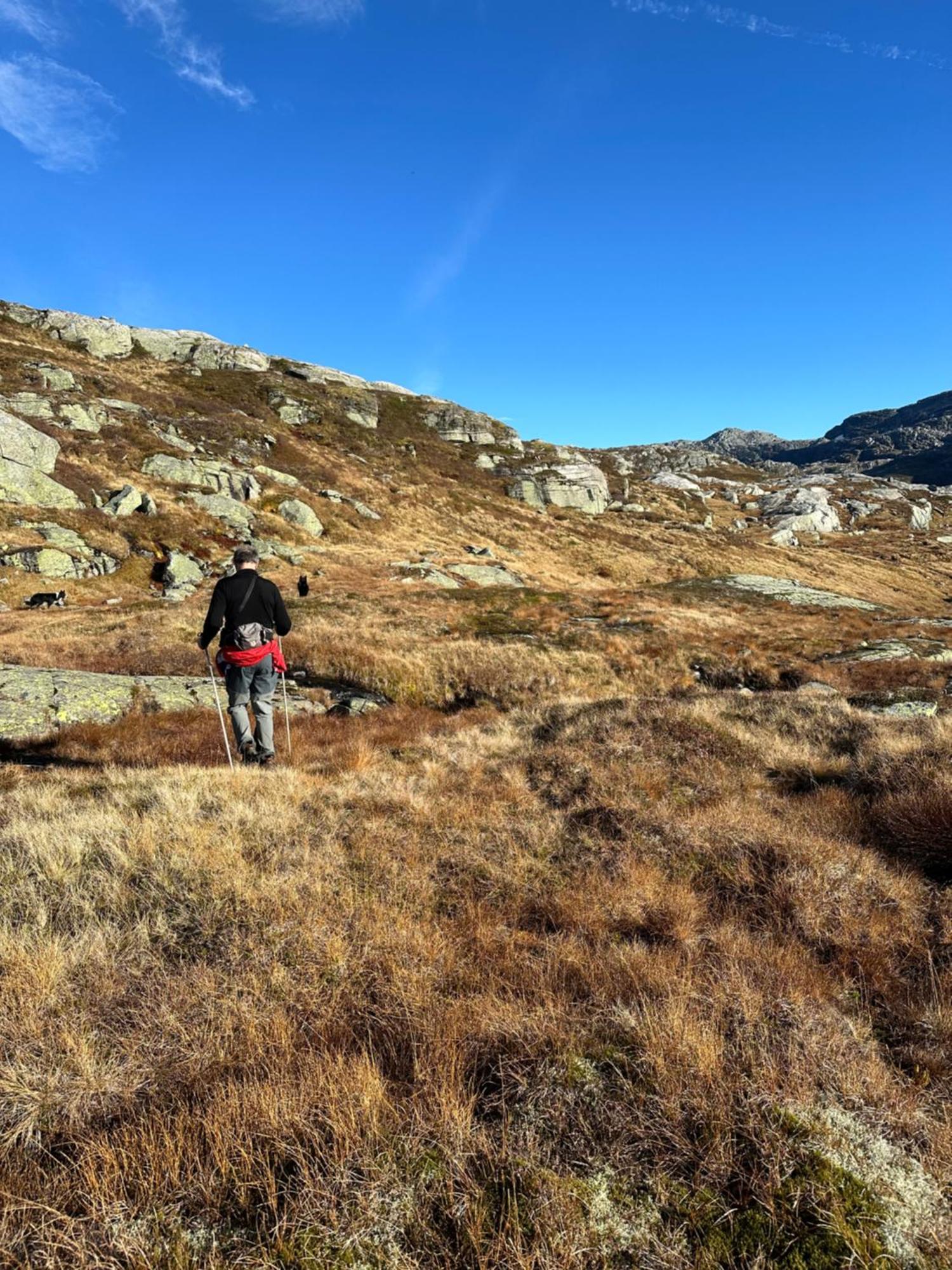 Akrafjorden Nature B&B As Fjæra Eksteriør billede