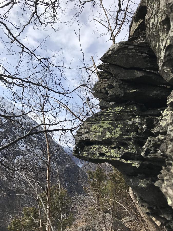 Akrafjorden Nature B&B As Fjæra Eksteriør billede