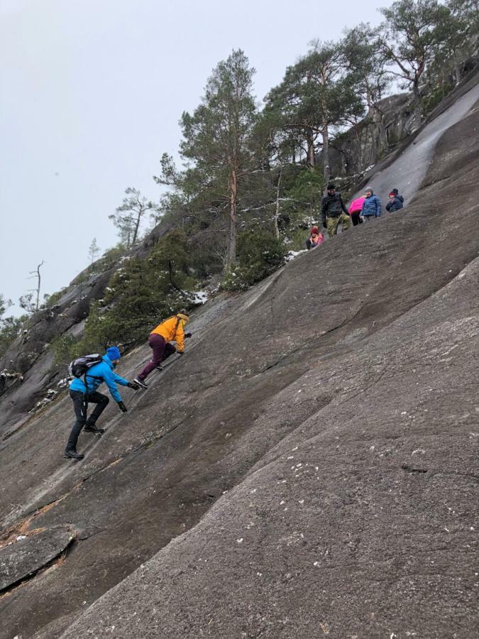 Akrafjorden Nature B&B As Fjæra Eksteriør billede